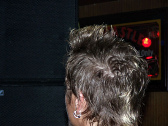 Brettshair